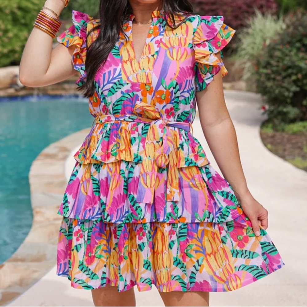 NWT Briton Court Aria Ruffle Mini Dress - size L